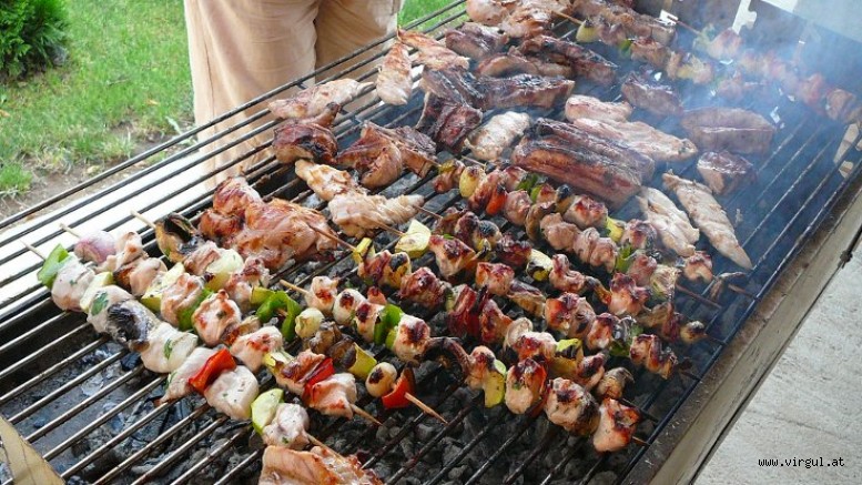Viyanada Mangal Yapmak Serbest Artık